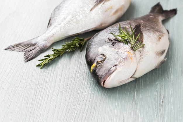 Fresh dorado fish on cutting board, healthy food. Copy space