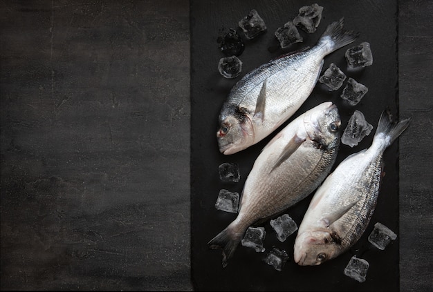 Fresh dorado fish with ice on stone cutting board on dark table. Top view, copy space. 