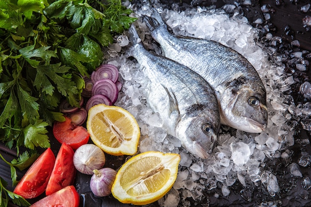新鮮なドラド魚、野菜、ハーブ、レモン、黒の背景に氷のかけら