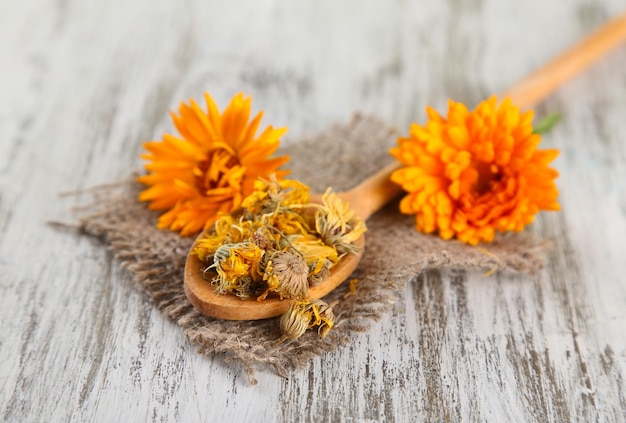 fresh and dried calendula flowers on wooden background