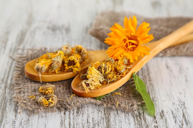 fresh and dried calendula flowers on wooden background