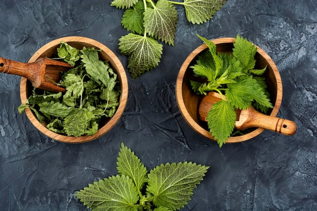 Fresh and dried nettle leaves with wooden spoon on the table Medicinal plant