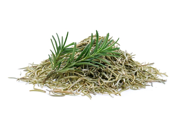 Fresh and dried rosemary isolated