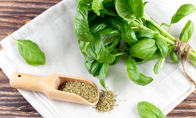 Fresh and dry basil on napkin on a wooden background