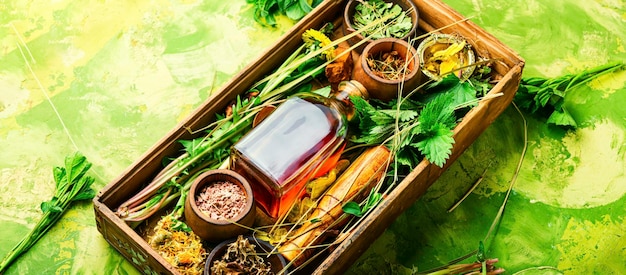 Fresh and dry healing herbs and medicinal plants.Herbal medicine,homeopathy