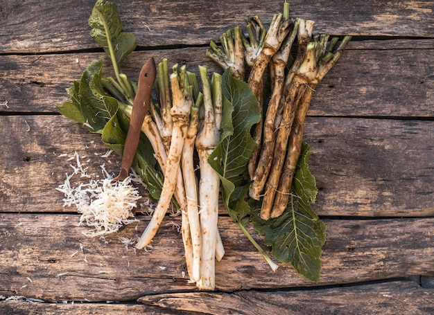 Fresh, dug-out root horseradish with leaves on the pile