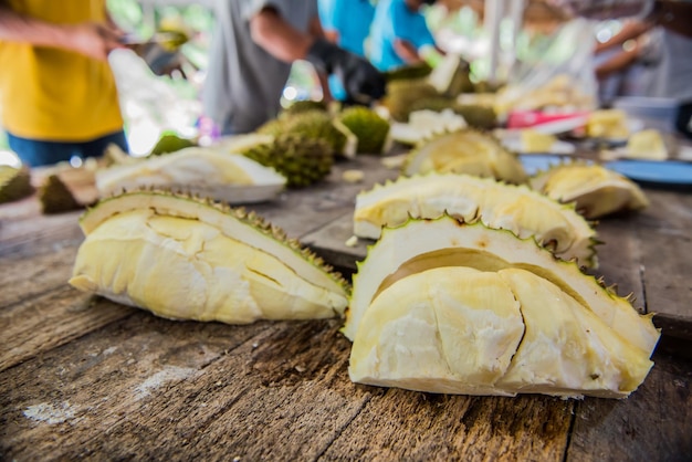 fresh durian in the farm, Thai King fruit