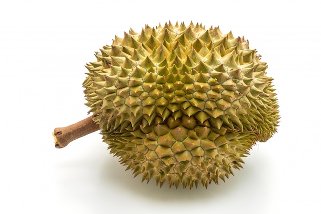 Fresh Durian Fruit