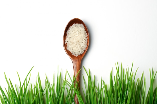 Fresh ecological rice concept on isolated space