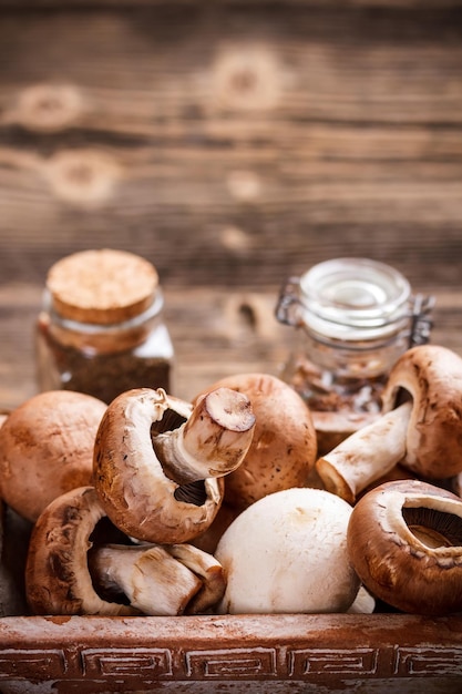 Fresh edible mushrooms