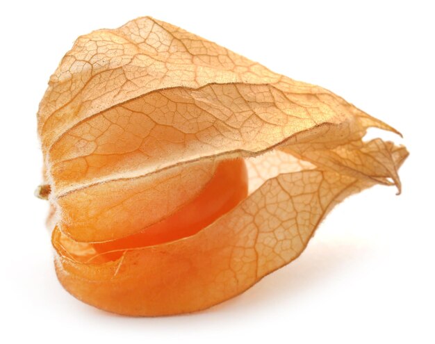 Fresh edible physalis over white background