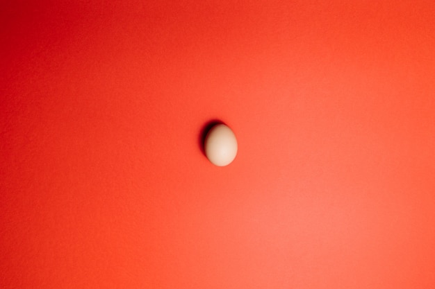 Photo fresh egg on red