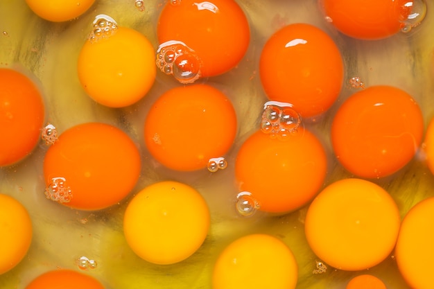 Photo fresh egg yolk with close up shot,top view.