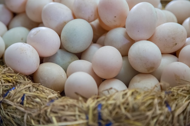 Fresh Eggs are in the basket background