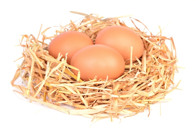 Fresh eggs on a bright background