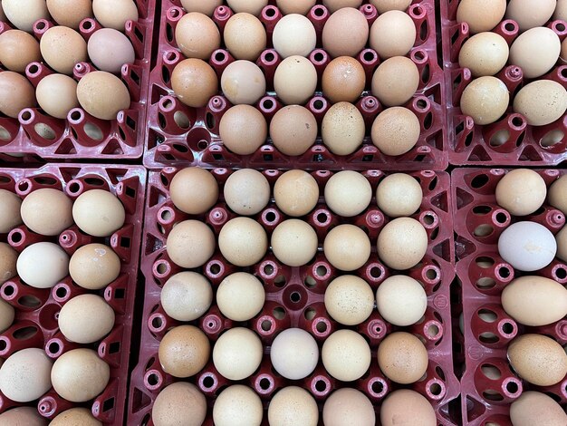 Fresh eggs in egg cartons at supermarket