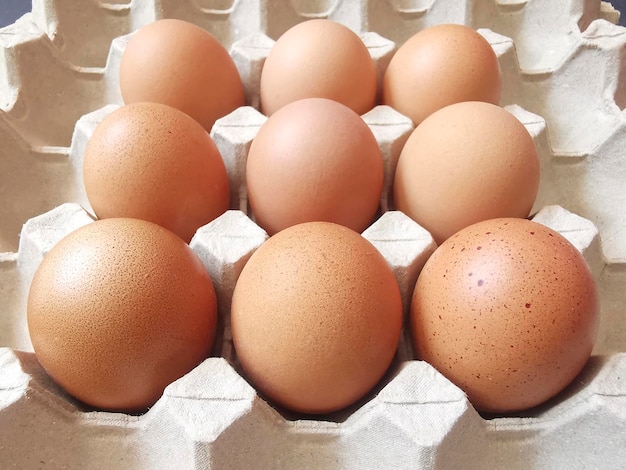 Fresh eggs in the egg stall egg tray or egg panel