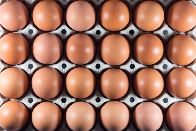 Fresh eggs from the farm in the panel white paper.