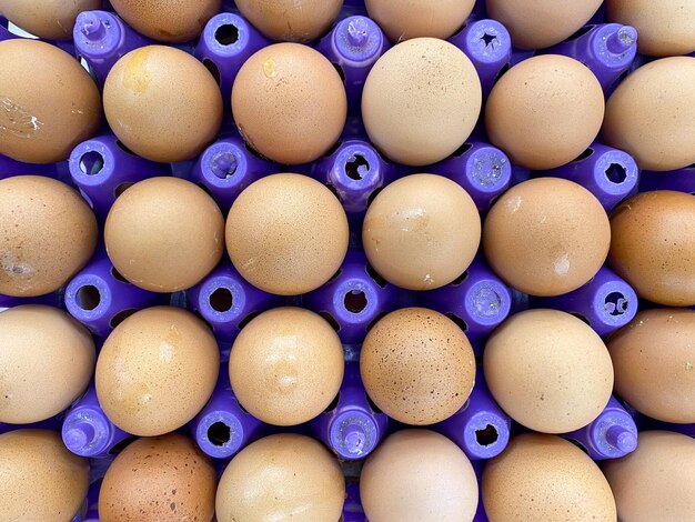 Fresh eggs raw in a box on white background