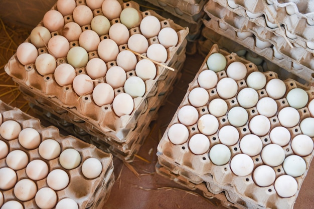 Fresh eggs in white duck egg box