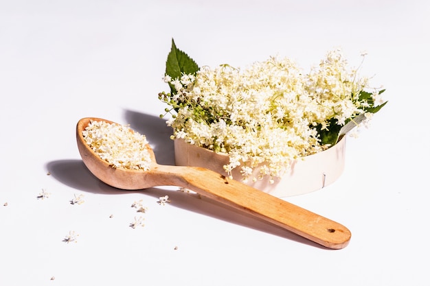 Fresh elderberry flowers isolated on white background. Ingredient for healthy food concept. Modern hard light, dark shadow