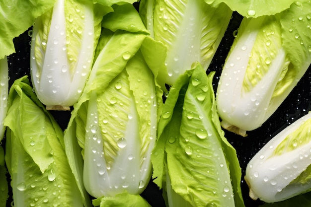 Fresh endive vegetables seamless background visible drops of water overhead angle