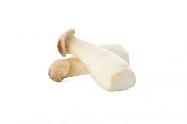 Fresh eringi mushrooms isolated on white