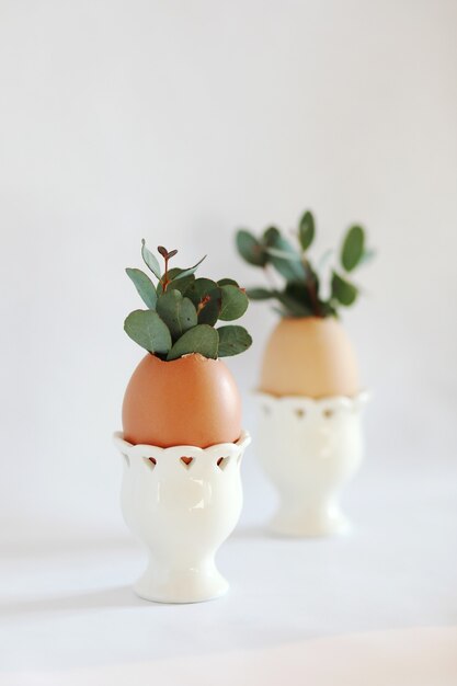 Fresh eucalyptus in egg shells on white background. Easter minimalist concept, copy space for text.