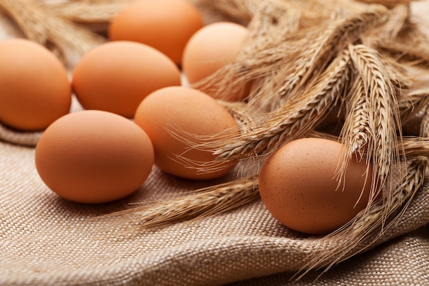 Fresh farm eggs on sackcloth with wheat ears