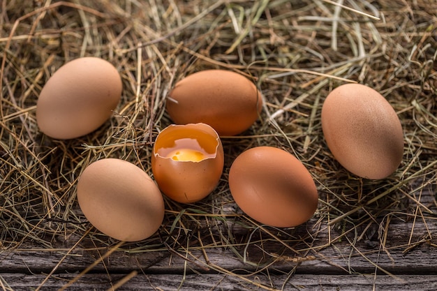 Fresh farm eggs