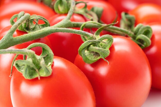 Fresh farm san marzano closeup