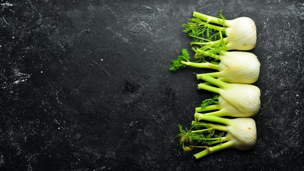 Fresh fennel on a black stone background. Organic food. Top view. Free space for your text.