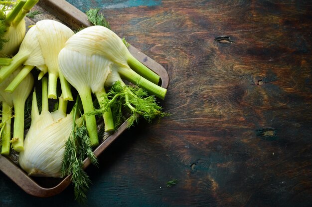 Fresh fennel bulbs on a metal tray ready to cook Healthy food Top view