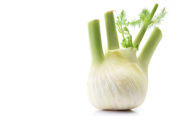 Photo fresh fennel isolated on white background