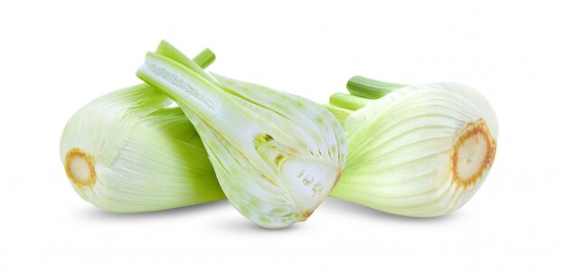 Fresh fennel isolated on a white