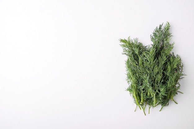 Fresh fennel on white surface