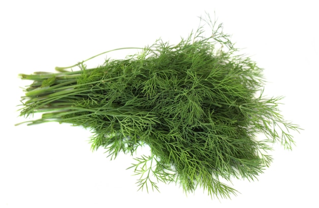 Fresh fennel