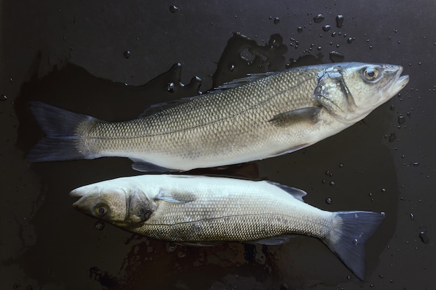 黒い石のテーブルに新鮮な魚