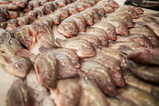 Photo fresh fish on the counter