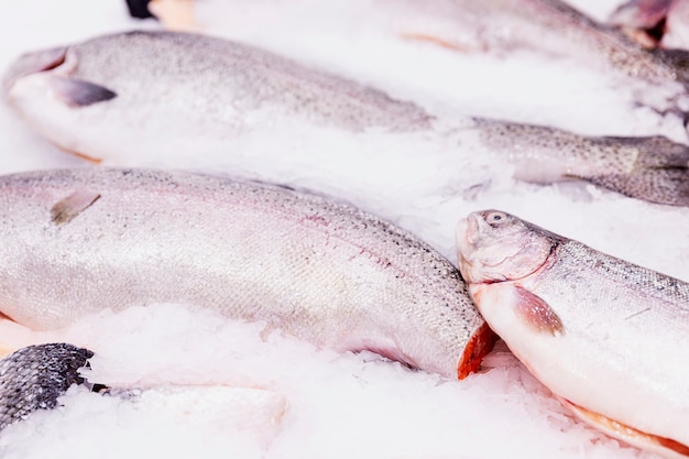 Fresh fish on ice on a counter in a supermarket. Close-up.