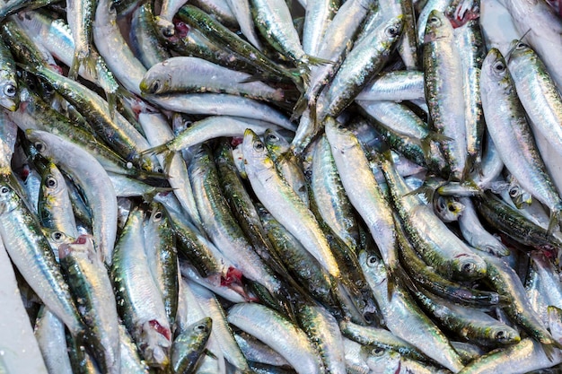 Pesce fresco sul ghiaccio nel marketxa