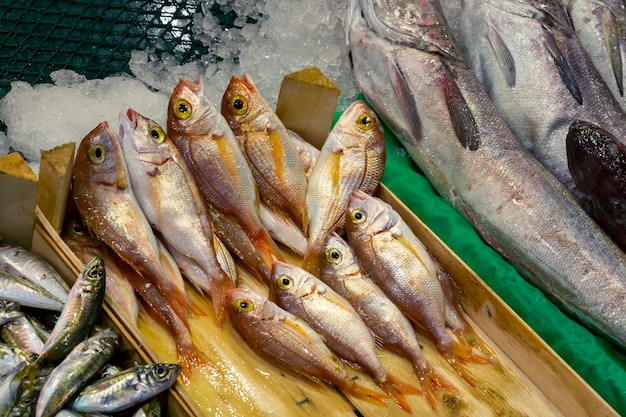 Fresh fish on the ice in the marketxA