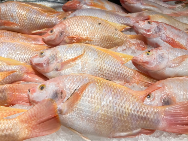 Foto pesce fresco sulla piattaforma di ghiaccio nel mercato