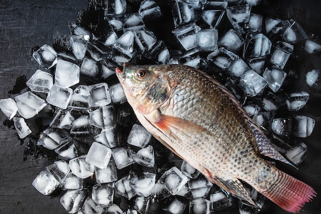 Photo fresh fish on the ice