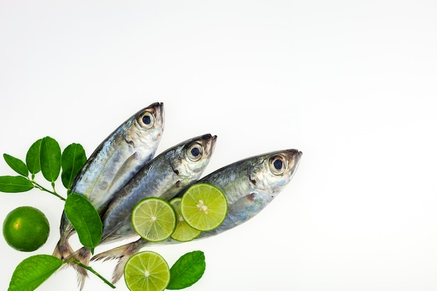 Photo fresh fish and lime isolated