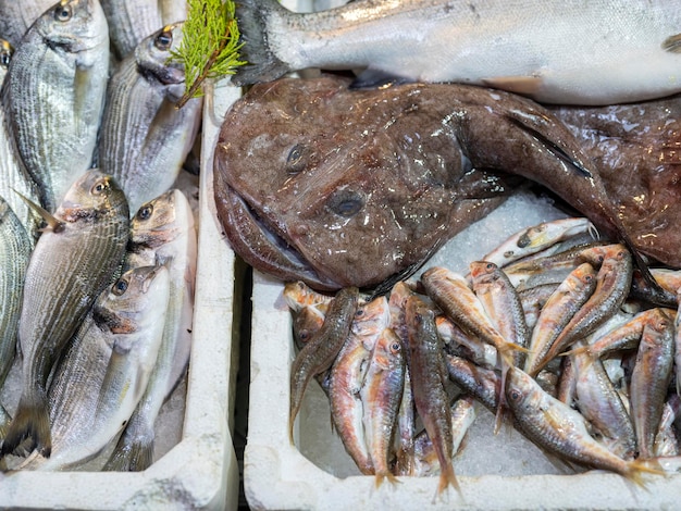 地元の市場で売られている新鮮な魚