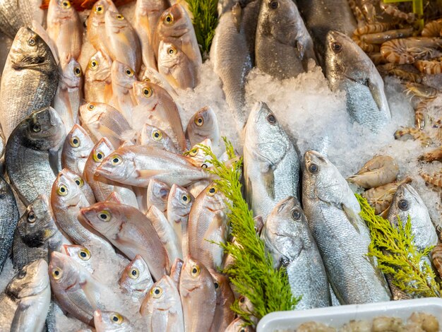 Fresh fish at the local market