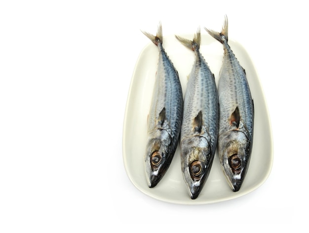 Photo fresh fish mackerel tuna saba in white plate on a white background