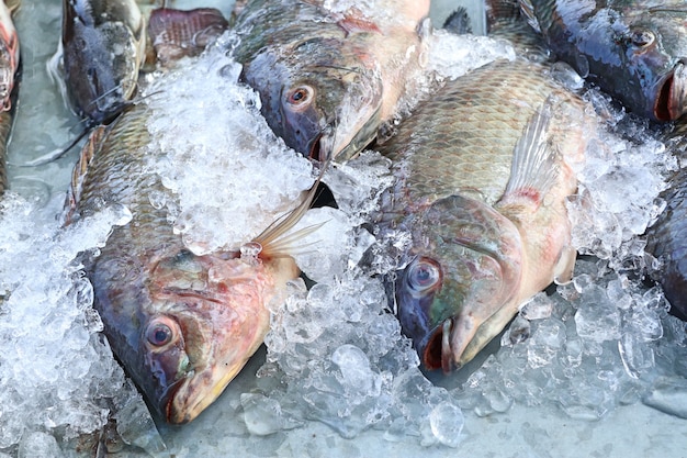 Pesce fresco nel mercato