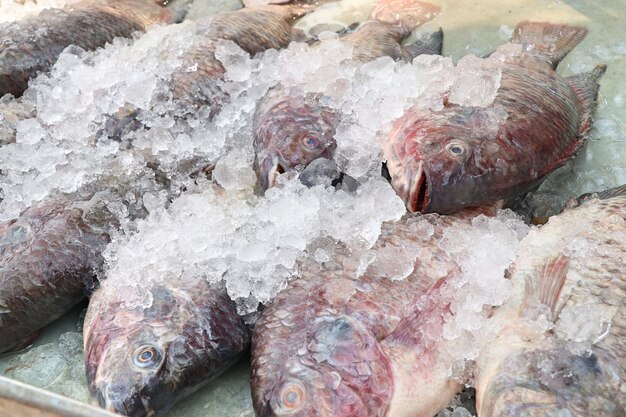 Pesce fresco nel mercato